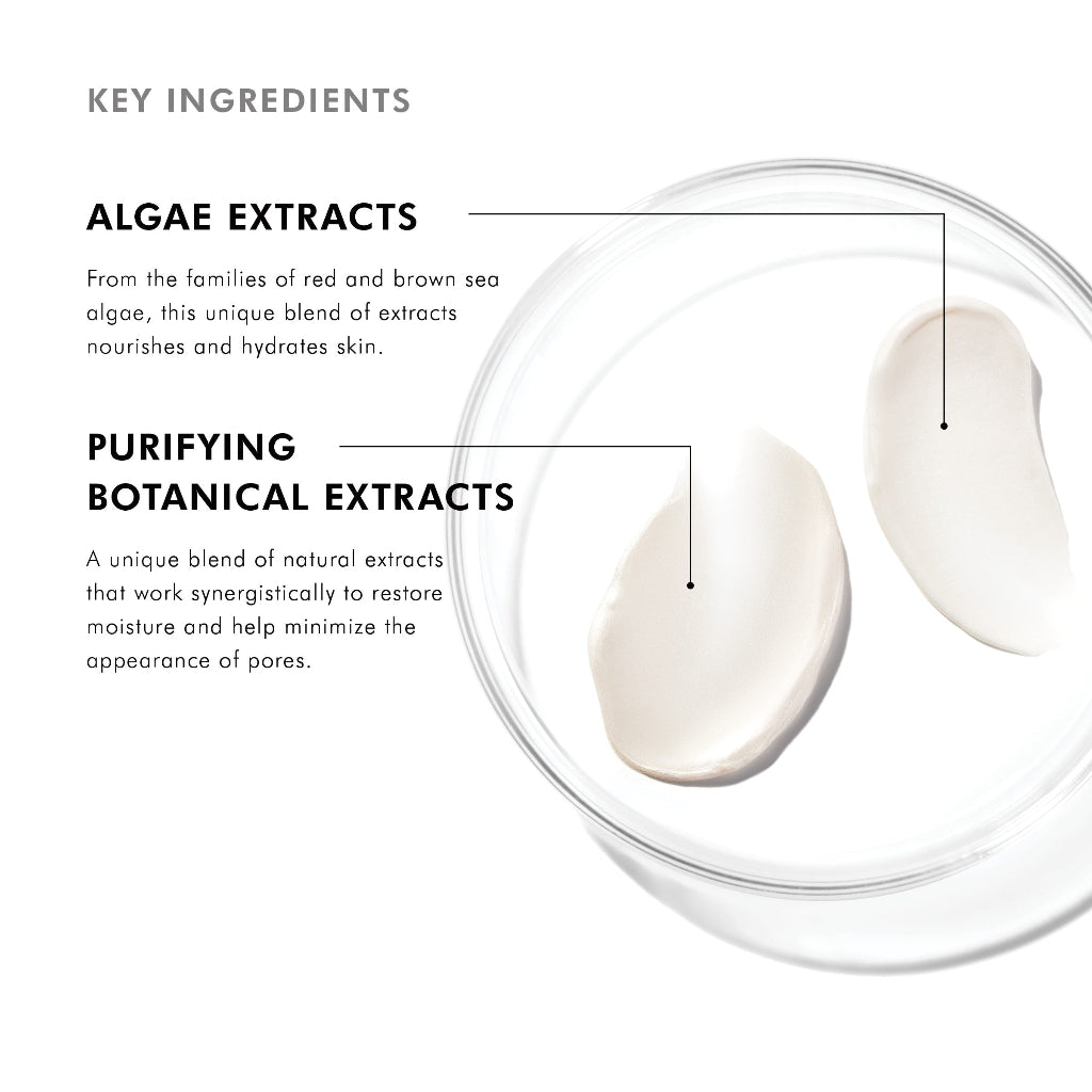 Key ingredients of SkinCeuticals Daily Moisture including botanical extracts and nourishing vitamins