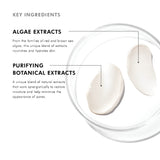 Key ingredients of SkinCeuticals Daily Moisture including botanical extracts and nourishing vitamins