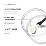 Key ingredients of SkinCeuticals Triple Lipid Restore 2:4:2 including ceramides, cholesterol, and fatty acids
