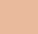 Glo Oil-Free Tinted Primer