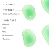 SkinCeuticals Phyto Corrective Gel at-a-glance – featuring quick highlights of its calming, hydrating, and redness-reducing benefits for sensitive and post-procedure skin