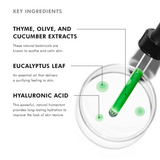 Key ingredients in SkinCeuticals Phyto Corrective Gel – featuring botanical extracts, hyaluronic acid, and cucumber to soothe irritation, reduce redness, and hydrate sensitive skin